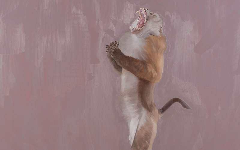 Pulse di Marco Bettio