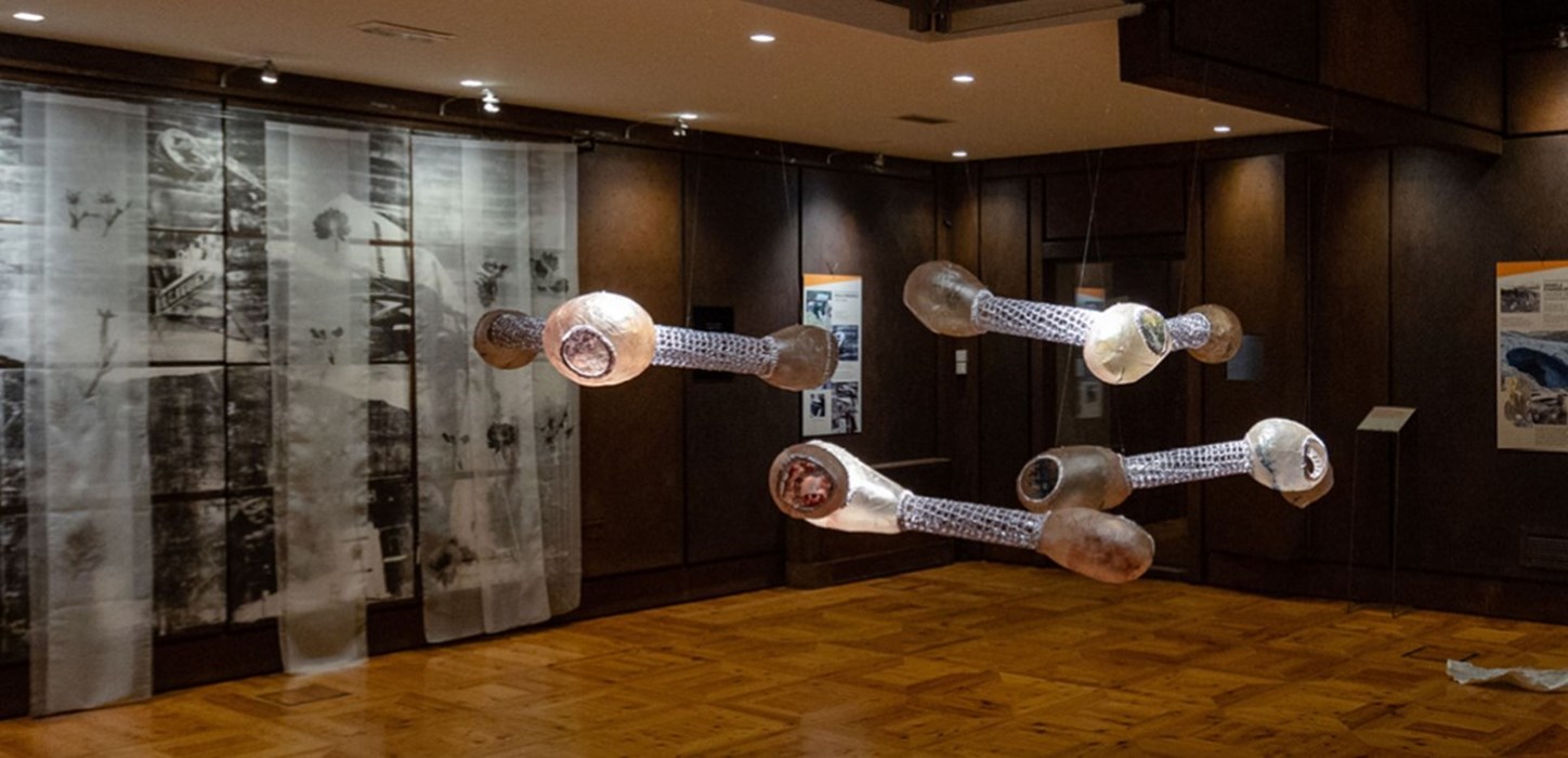 Finissage rammendi ambientali banner first Finissage rammendi ambientali banner first