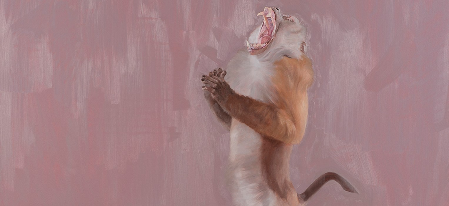 Ti racconto un'opera. Pulse