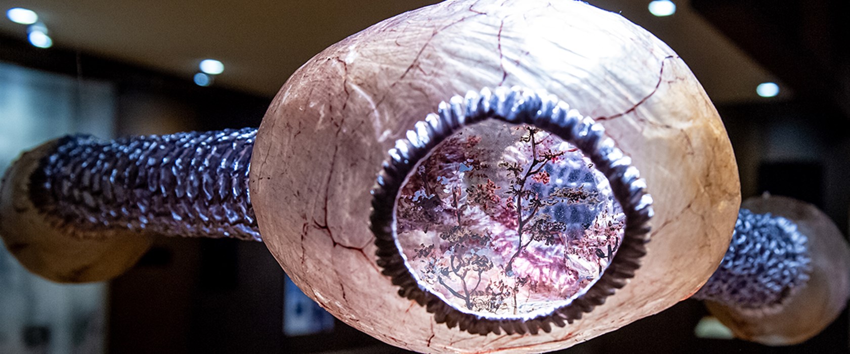 Banner mostre in corso Banner mostre in corso